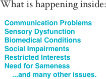 What is happening inside:

  Communication Problems
  Sensory Dysfunction
  Biomedical Conditions
  Social Impairments
  Restricted Interests
  Need for Sameness
      ...and many other issues.

